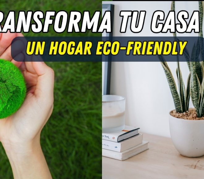 Consejos Ecológicos para Mejorar tu Vivienda