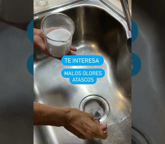 Trucos Efectivos para Limpiar el Sifón de la Cocina