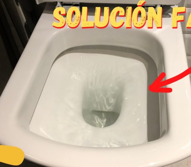 Guía Práctica para Desatascar el WC en Casa