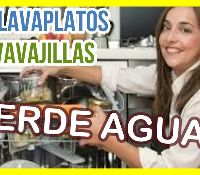 Soluciones para Lavavajillas que Pierden Agua en Apartamentos