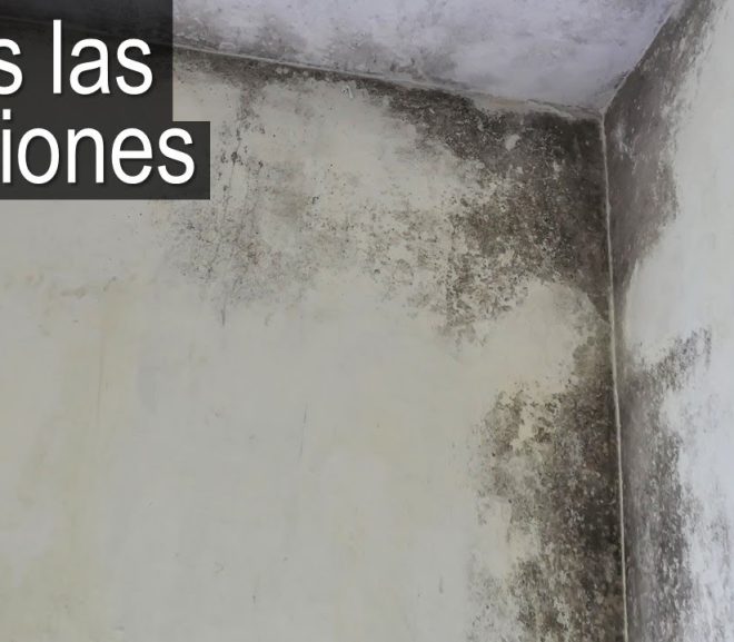 Soluciones Efectivas para la Humedad en Baños